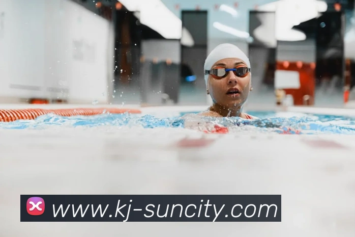 太阳城网站平台生态图